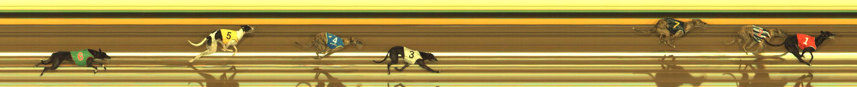 Race result finish photo
